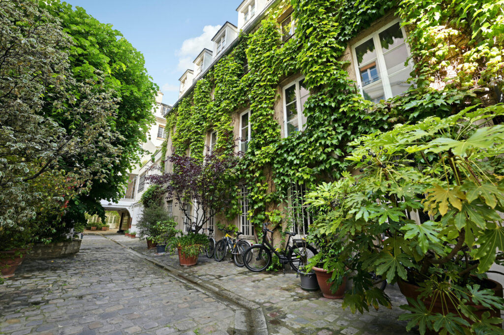 VENDU – Jarente/Place Sainte Catherine - Image 1
